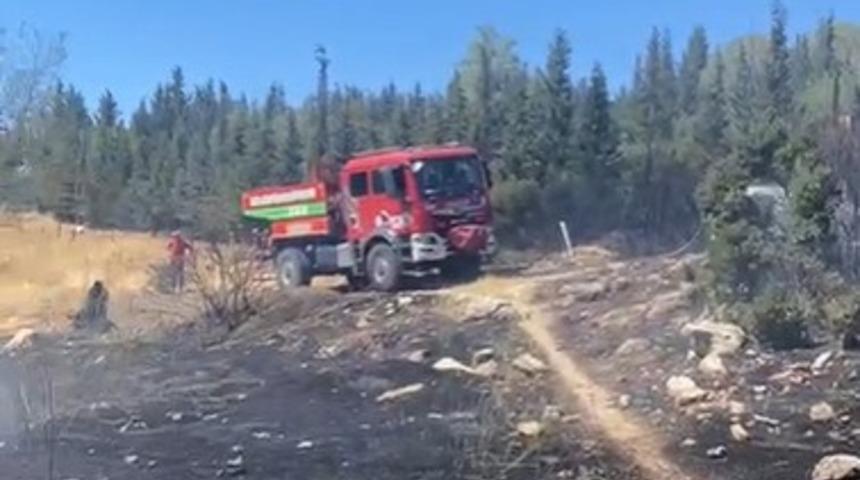 Aliağa'da ormanlık alanda çıkan yangın hızlı müdahale ile söndürüldü