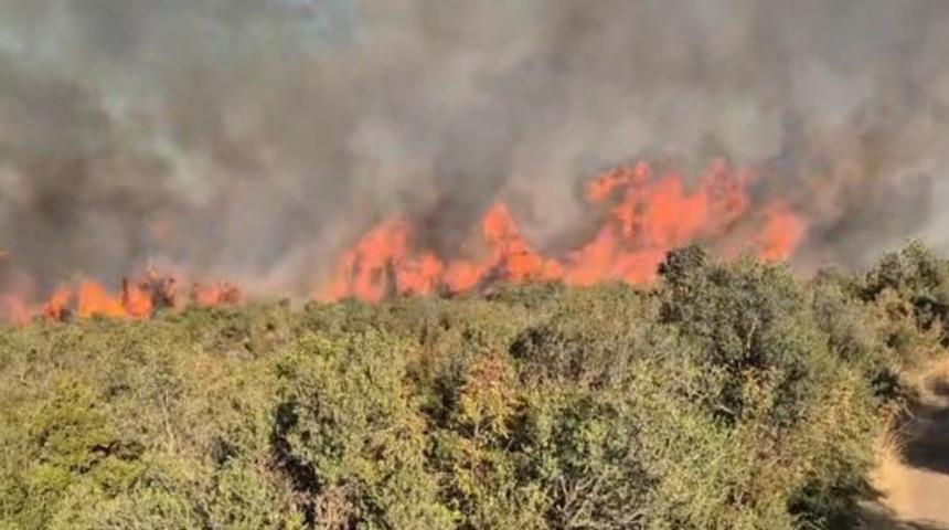 Balıkesir'de orman yangını! Ekipler müdahale ediyor