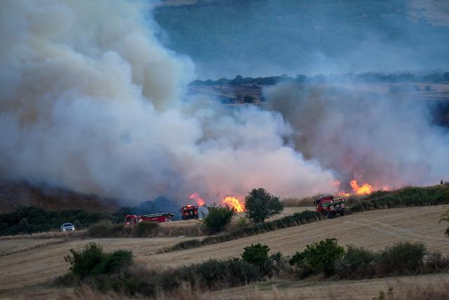 Balıkesir in Susurluk ilçesinde çıkan orman yangınına müdahale ediliyor 16