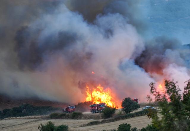 Balıkesir in Susurluk ilçesinde çıkan orman yangınına müdahale ediliyor 15