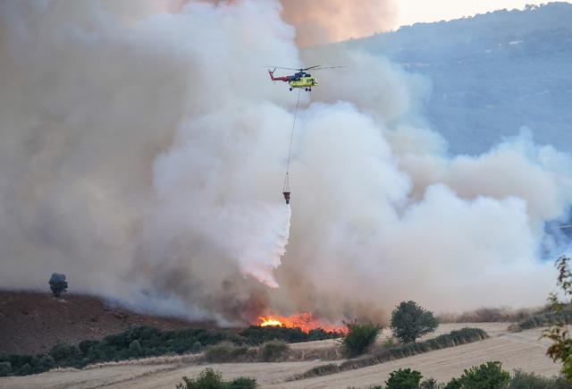 Balıkesir in Susurluk ilçesinde çıkan orman yangınına müdahale ediliyor 14
