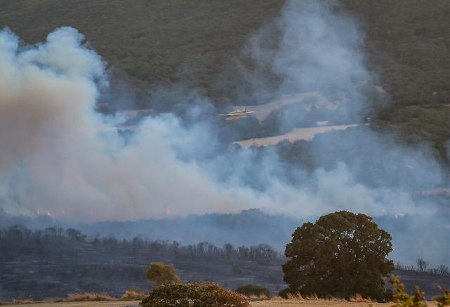 Balıkesir in Susurluk ilçesinde çıkan orman yangınına müdahale ediliyor 12