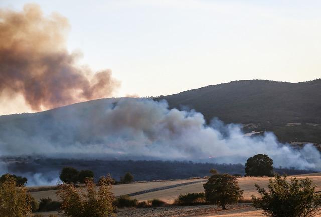 Balıkesir in Susurluk ilçesinde çıkan orman yangınına müdahale ediliyor 9