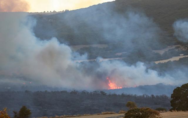 Balıkesir in Susurluk ilçesinde çıkan orman yangınına müdahale ediliyor 8