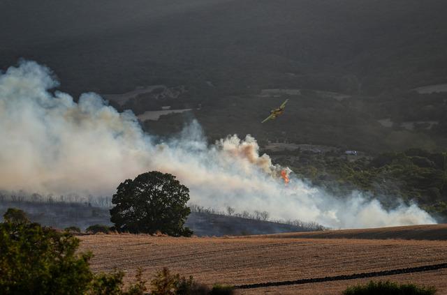 Balıkesir in Susurluk ilçesinde çıkan orman yangınına müdahale ediliyor 4