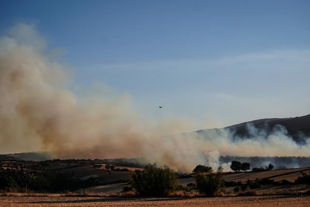 Balıkesir in Susurluk ilçesinde çıkan orman yangınına müdahale ediliyor 3