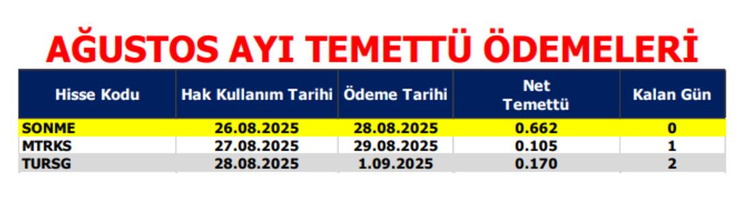 A1 Capital bülteni paylaştı: Model portföy ve temettü ödemeleri belli oldu 2