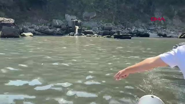 O belediyeye 668 bin TL ceza! Denizin kirletildiğine dair yapılan incelemeler ortaya çıkardı