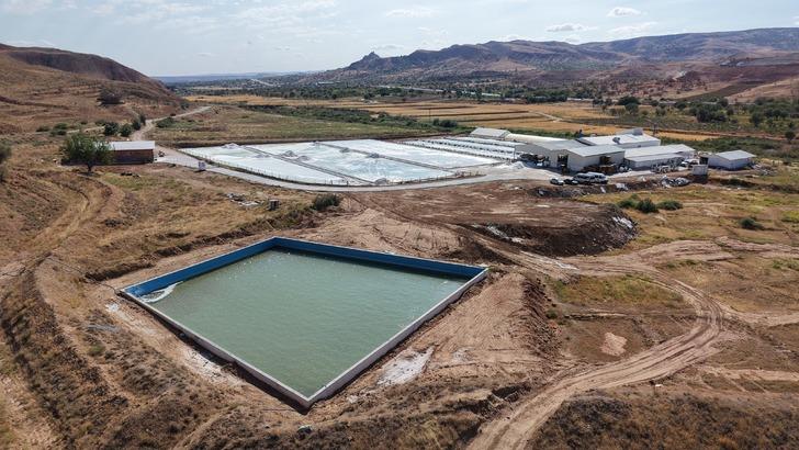 'Keşfettiğimizde bu kadar değerli olduğunu bilmiyorduk' Almanya'daki marketlere bile satıyorlar G1