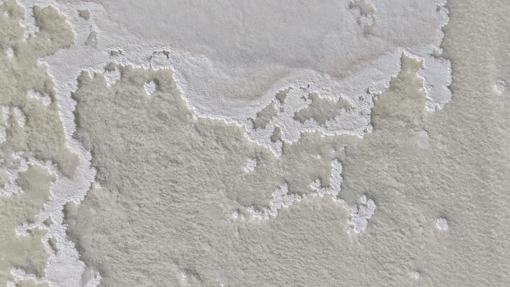 'Keşfettiğimizde bu kadar değerli olduğunu bilmiyorduk' Almanya'daki marketlere bile satıyorlar G3