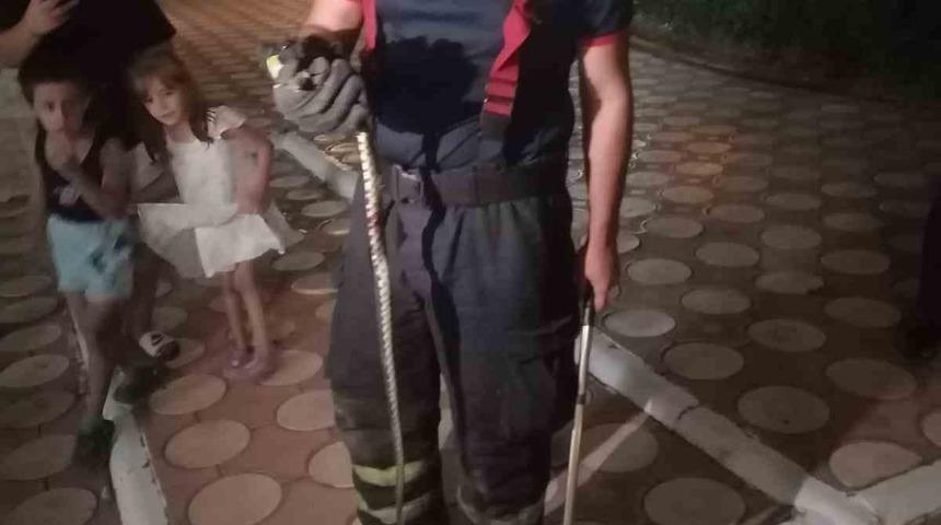 Batman’da site bahçesinde yılan paniği