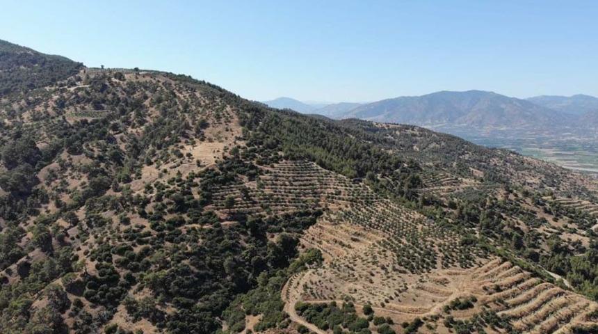 Karacasu Kaymakamlığı orman yangını riskine dikkat çekti