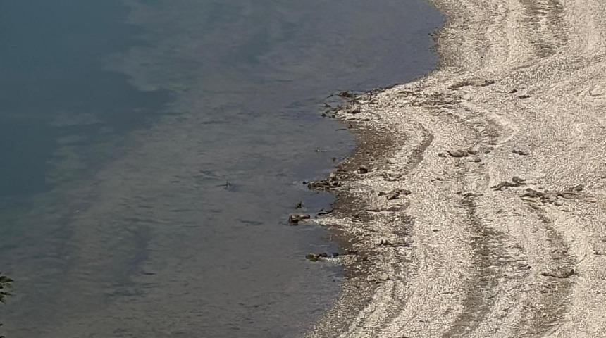 Bolu için zaman daralıyor!  3.5 aylık içme suyu kaldı