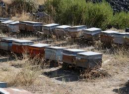 Mobilyacılığı bırakıp o işe başladı! Yoğun ilgi var, elde ettiği gelirle...