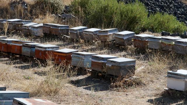 Mobilyacılığı bırakıp o işe başladı! Yoğun ilgi var, elde ettiği gelirle...
