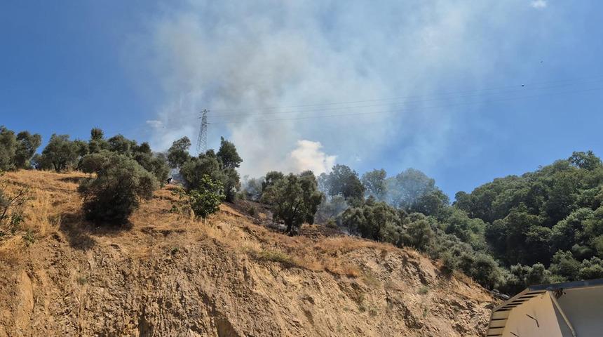 Aydın'da zeytinlikte çıkan yangın 1,5 saatte kontrol altına alındı