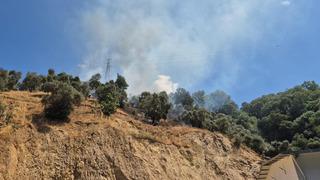 Aydın'da zeytinlikte çıkan yangın 1,5 saatte kontrol altına alındı