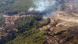 Seydikemer orman yangını kısa sürede kontrol altına alındı