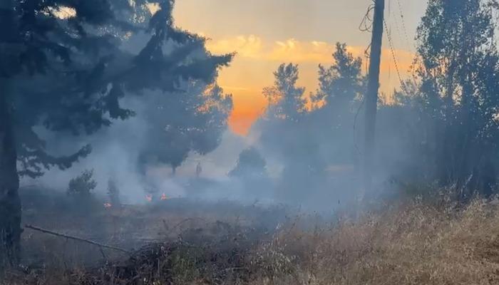 Bursa’da korkutan orman yangını