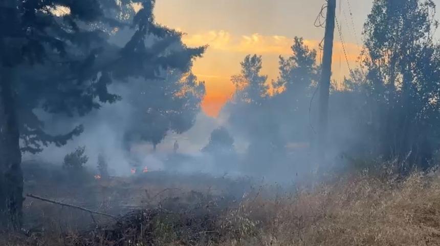 Bursa’da korkutan orman yangını