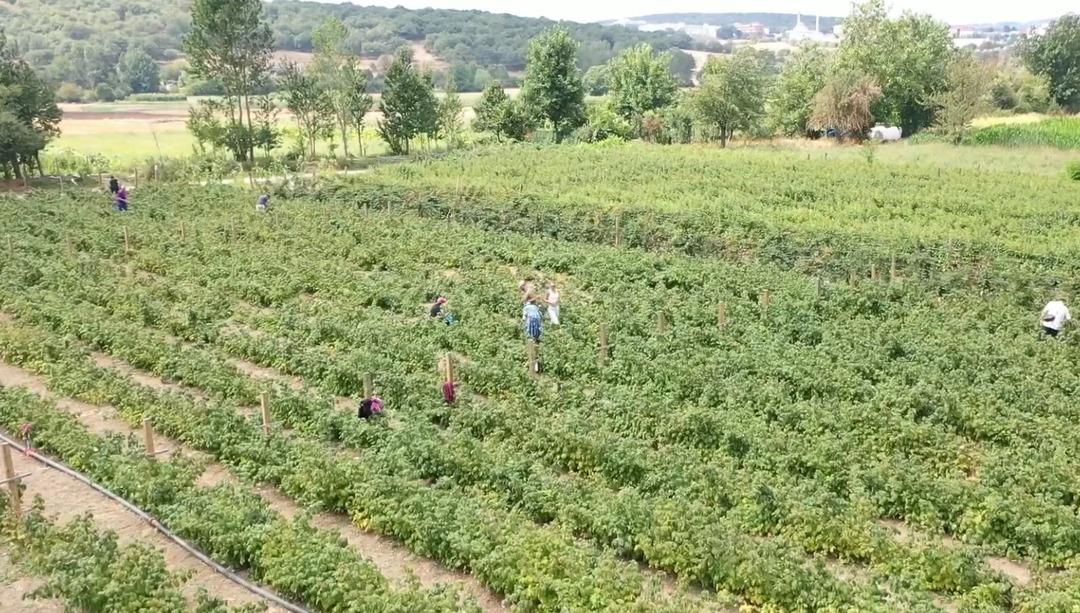3 yıl önce karar verip kurdu! Hem kendini hem mahalleliyi iş sahibi yaptı 1