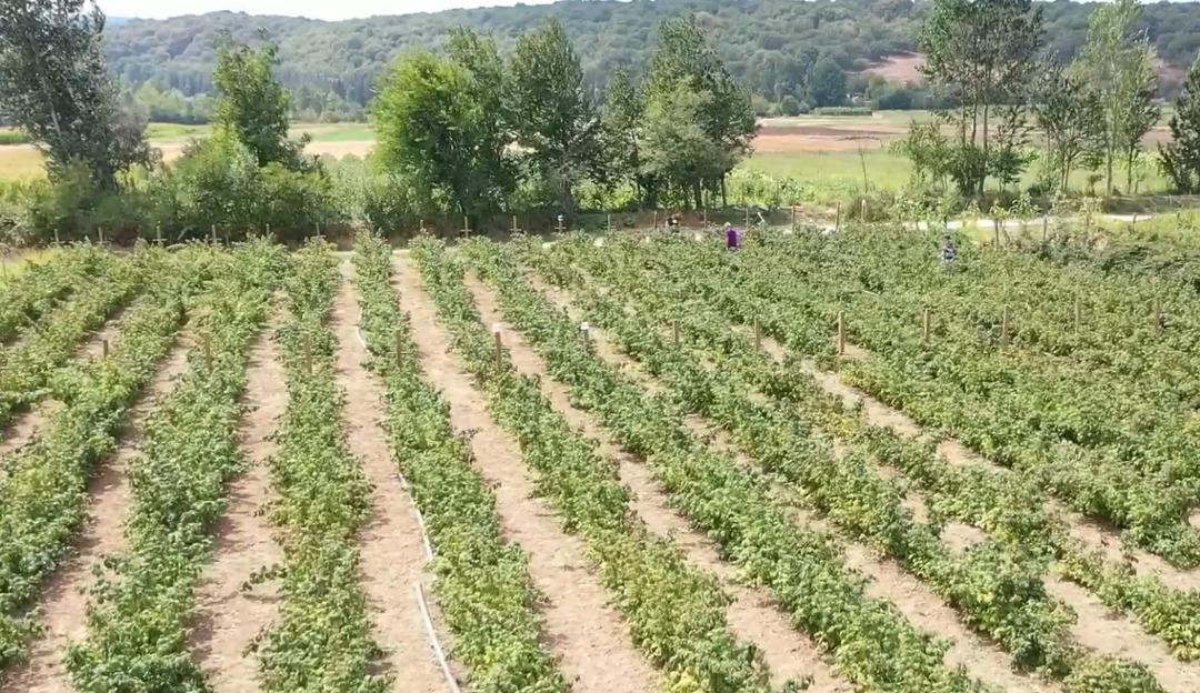 3 yıl önce karar verip kurdu! Hem kendini hem mahalleliyi iş sahibi yaptı 2