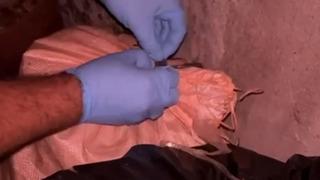 Ahırdaki arı kovanlarının arkasına gizlenmiş uyuşturucu ele geçirildi