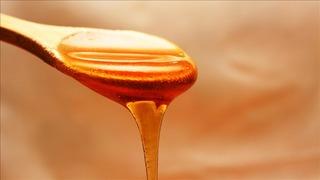 Doğu Karadeniz'den 7 ayda 11 ülkeye bal ihraç edildi