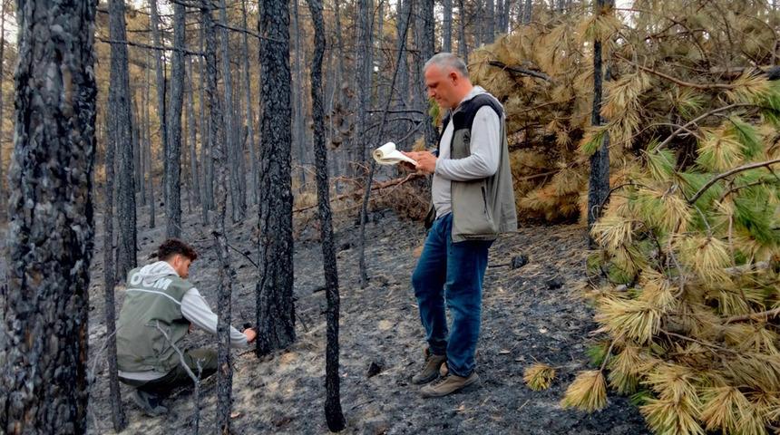 Bursa'da zorlu mesai: Bütün bölgeyi santim santim saydılar! Hem havadan hem karadan