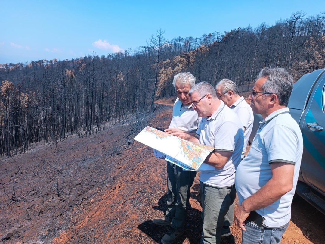 Bursa da zorlu mesai: Bütün bölgeyi santim santim saydılar! Hem havadan hem karadan 1