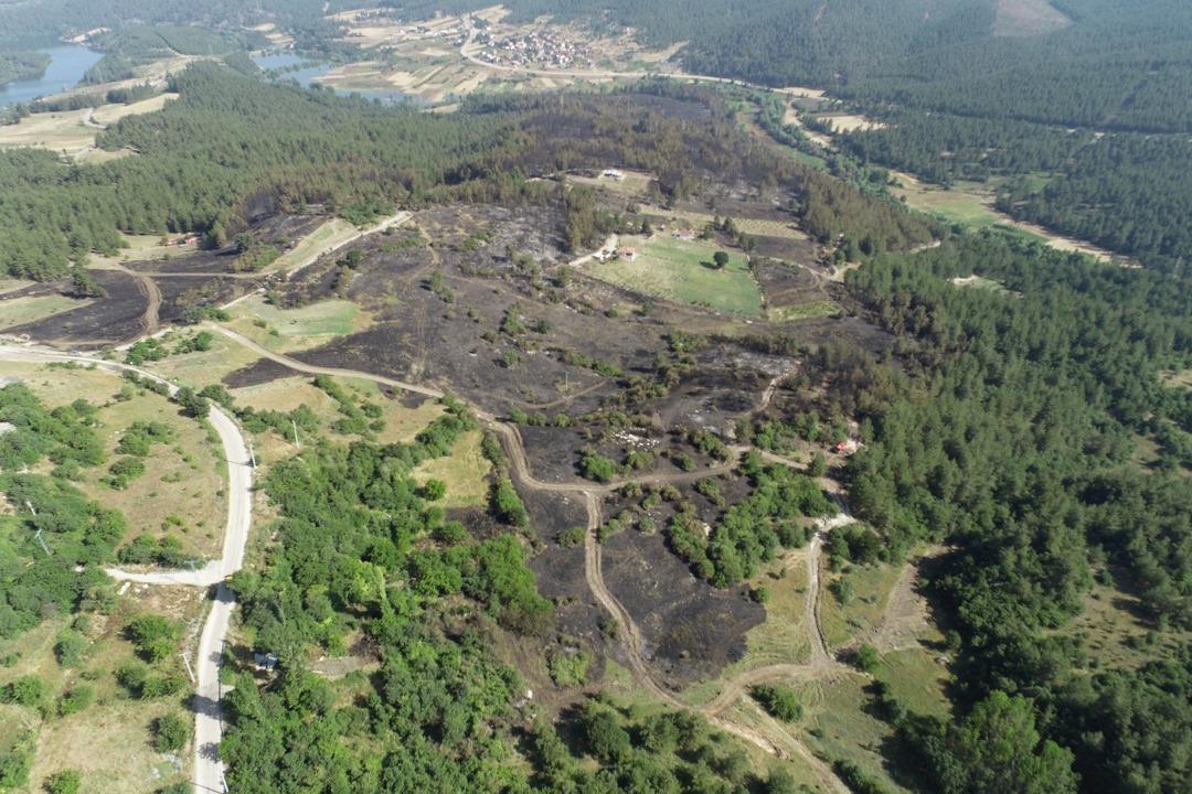 Bursa da zorlu mesai: Bütün bölgeyi santim santim saydılar! Hem havadan hem karadan 3