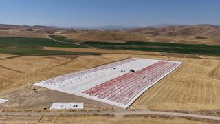 Kilosu 4 euro! Ucu bucağı gözükmüyor... 600 kişi çalışıyor