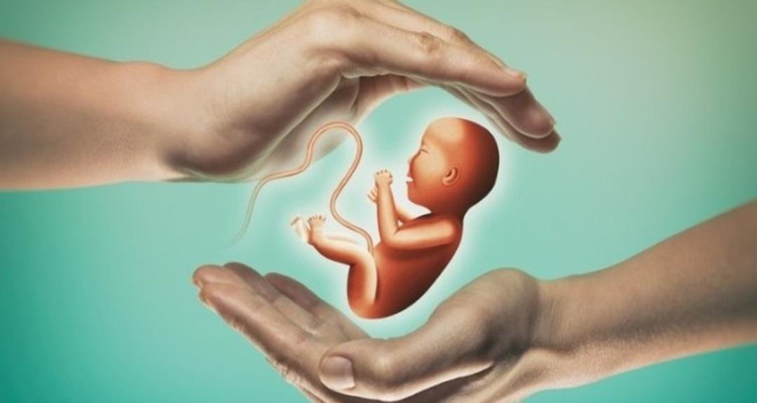 Tüp bebek tedavisinde doğru bilinen yanlışlara dikkat! Tüp bebekte herkesin yanlış bildiği 5 gerçek... 1