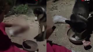 Ankara'da dehşete düşüren olay! Köpeğe alkol içirip o anları sosyal medyada paylaştı