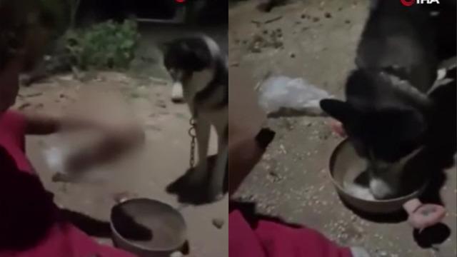 Ankara'da dehşete düşüren olay! Köpeğe alkol içirip o anları sosyal medyada paylaştı