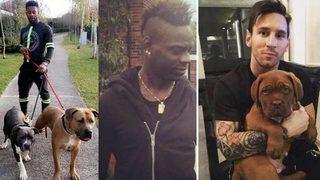 Balotelli yine yaptı yapacağını! Evinde beslediği hayvan...