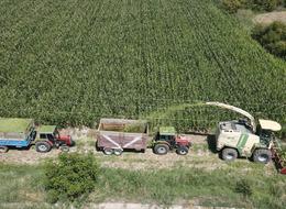 Son yıllarda hepsinin gözdesi oldu! Yoğun şekilde tercih ediliyor, ek gelir sağlıyor