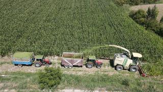 Son yıllarda hepsinin gözdesi oldu! Yoğun şekilde tercih ediliyor, ek gelir sağlıyor