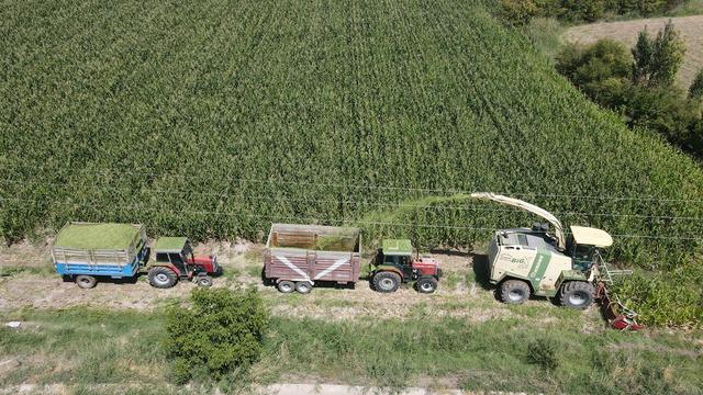 Son yıllarda hepsinin gözdesi oldu! Yoğun şekilde tercih ediliyor, ek gelir sağlıyor