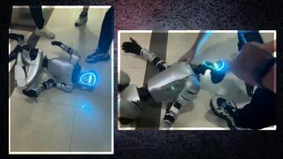 Yazılım hatası yaşayan robottan tuhaf hareketler! Kontrolü kaybetti, yerde tepinip 'dokunmayın çok fenayım' moduna girdi!