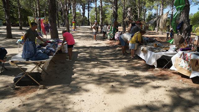 Kazdağı Ekofest 2025 başladı: Çevreciler altı yıl aradan sonra yeniden Kazdağları’nda buluştu...