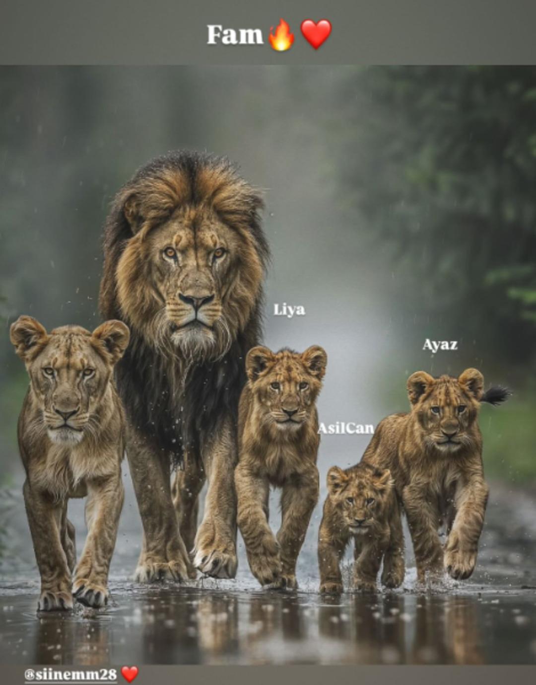 Hakan Çalhanoğlu ndan Galatasaray taraftarının kafasını karıştıran paylaşım! 1