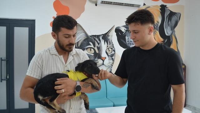 Kocaeli'de zifte saplanmış halde bulunan köpek yavrusu yeni yuvasına kavuştu