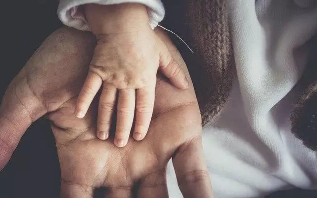 Aile Desteği Programlarına nasıl erişilir? 2