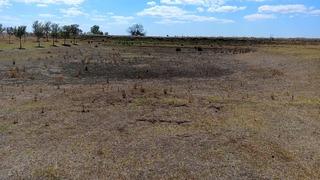 Tekirdağ'da Ballıhoca Sulama Göleti kurudu