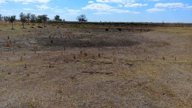 Tekirdağ'da Ballıhoca Sulama Göleti kurudu