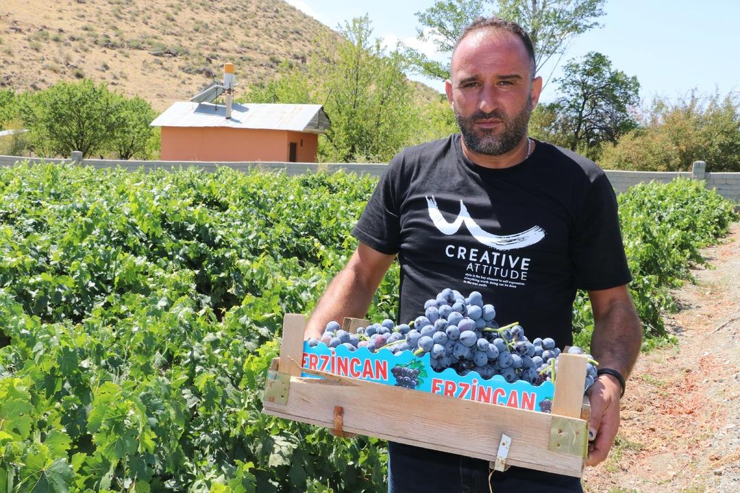 İlk tercih oluyor! Markette 200 TL, Ekim e kadar devam edecek 1