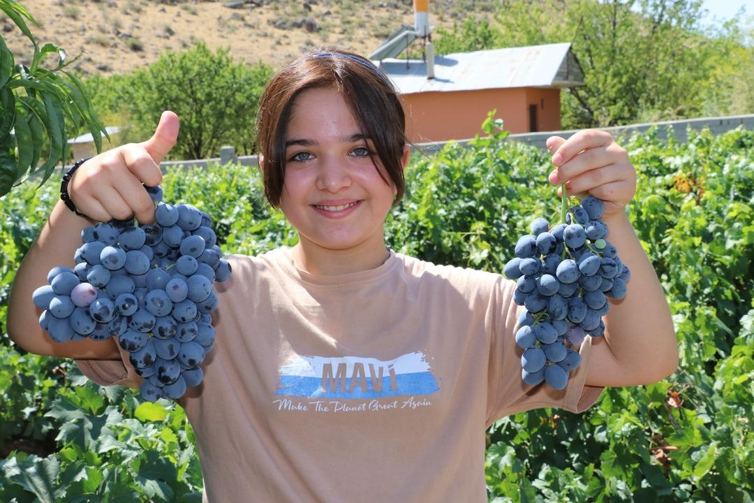 İlk tercih oluyor! Markette 200 TL, Ekim e kadar devam edecek 3