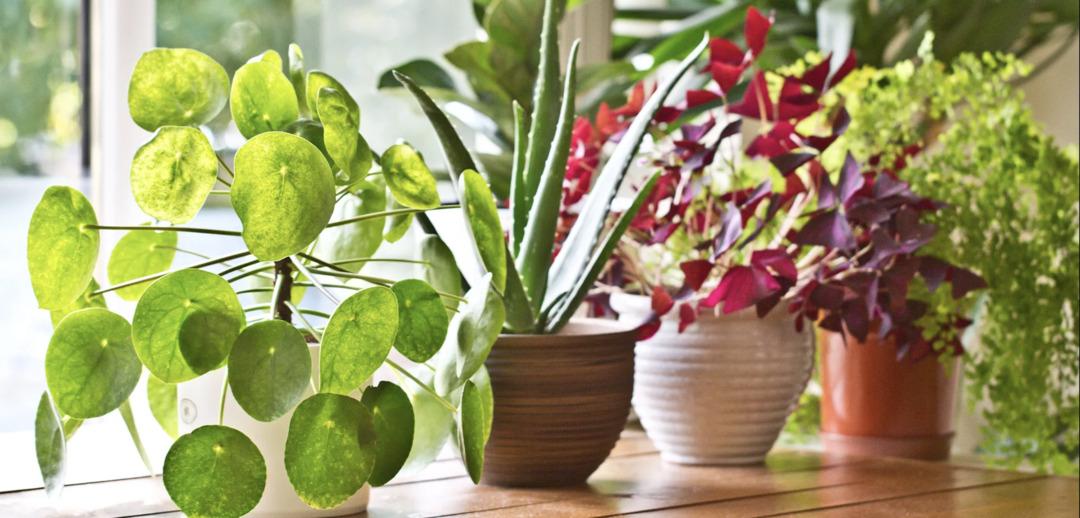 Mutlu ve huzurlu bir ev hayatı olmazsa olmaz 10 şey 7