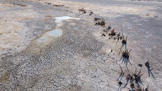 Yozgat'ta dikkat çeken görüntü! Tam 3 kilometre çekilmiş